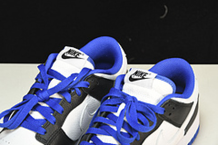 Nike SB Dunk Low FD9064-110