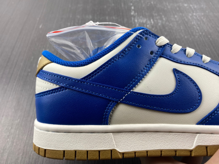 Nike Dunk Low  FB7173-141