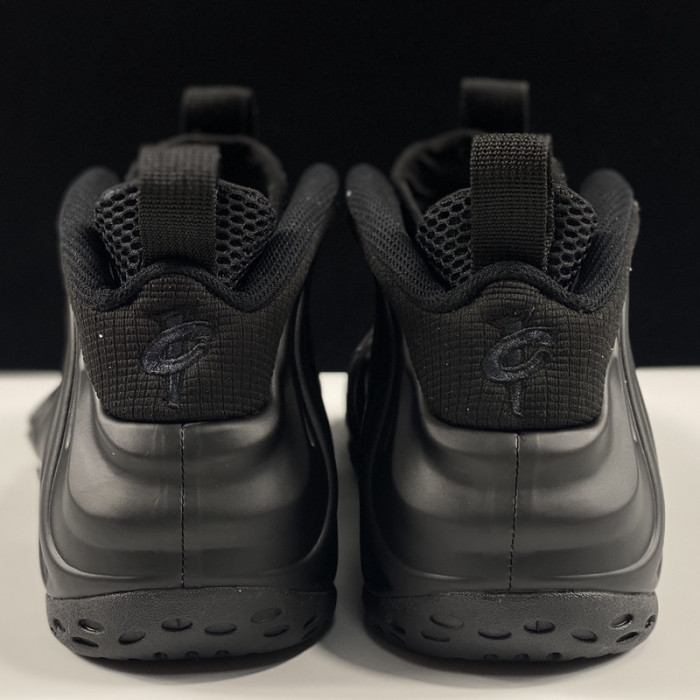 Nike Air Foamposite One Anthracite 314996-001