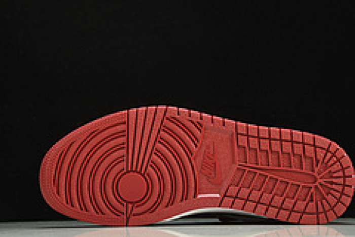 Air Jordan 1 RETRO HIGH OG DZ5485-061