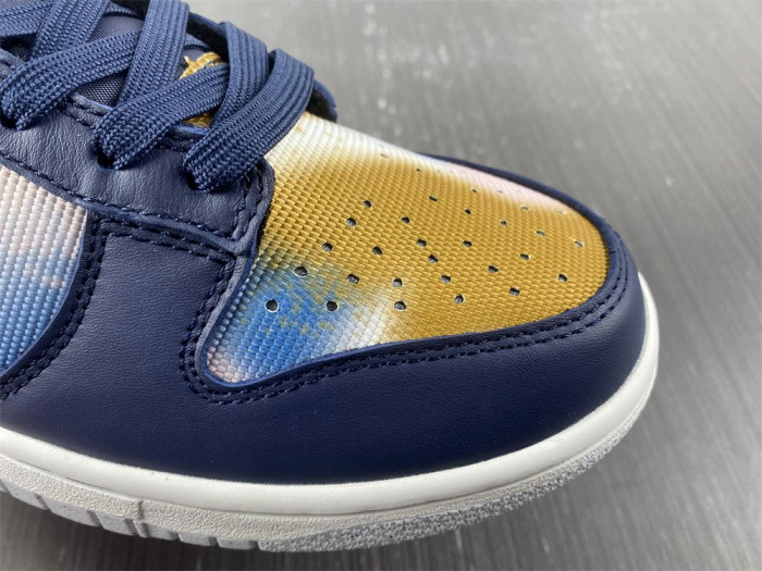 Nike Dunk Low Retro PRM DM0108-400