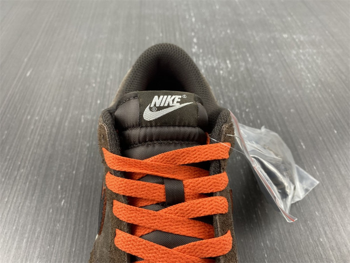 Nike Dunk Low Retro  DQ8801-200