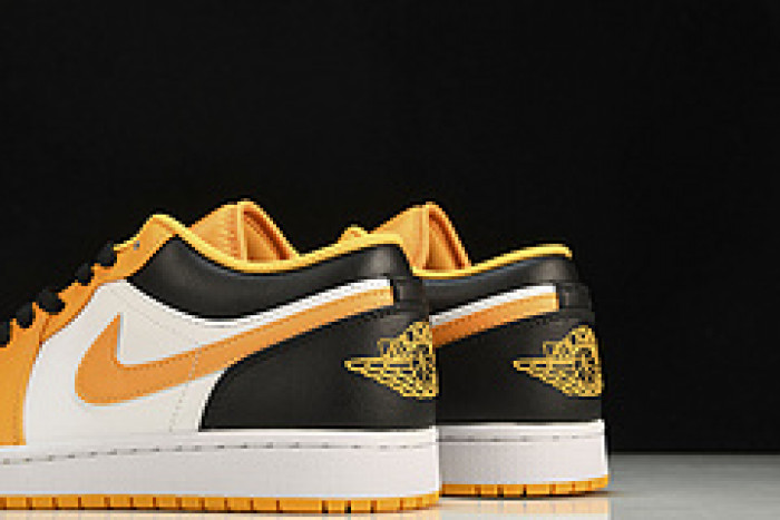 Nike SB Low 553558-701