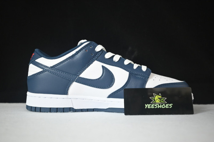 Nike dunk SB Low Retro Valerian Blue DD1391-400